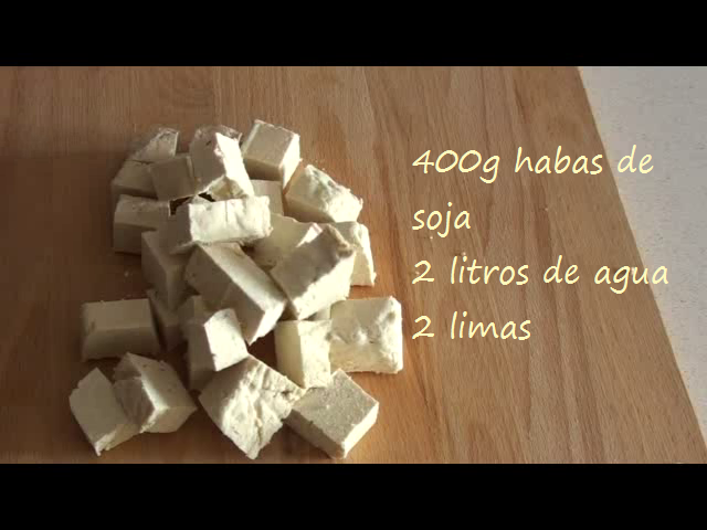 tofu-vegan-homemade-soya-soja