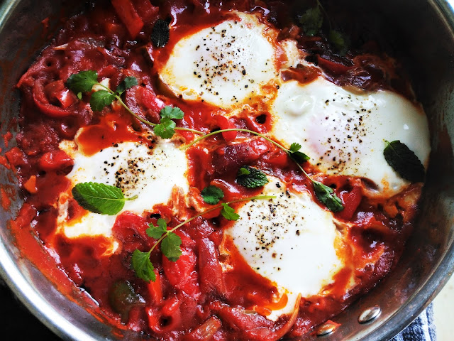 shakshuka-middle-east-traditional-food